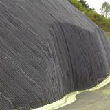 que-son-geomantas-usan